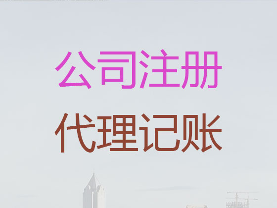 海南公司代理记账联系方式|代理公司记账